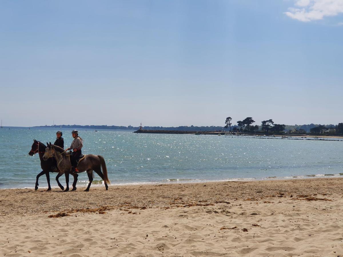 Vacances O Loch - Studio A 200 Metres De La Plage - Le Cap Coz Fouesnant Εξωτερικό φωτογραφία